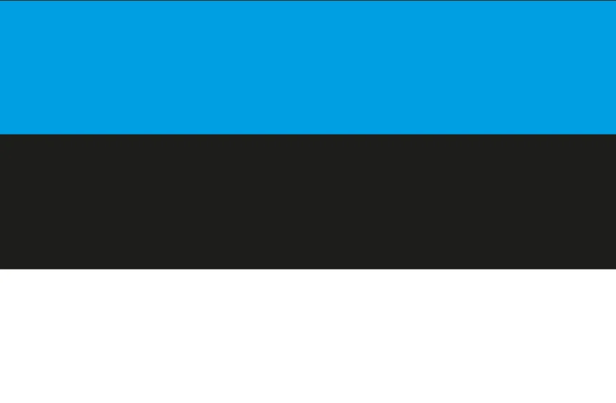 Vlag Estland