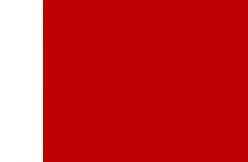Vlag Dubai