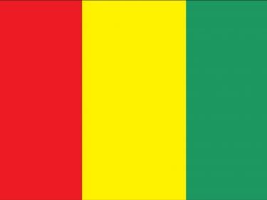 Vlag Guinee