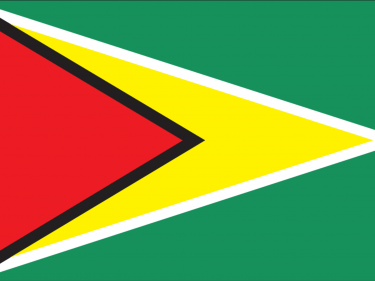 Vlag Guyana