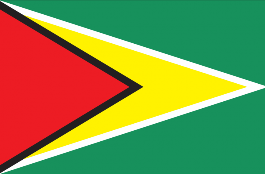 Vlag Guyana