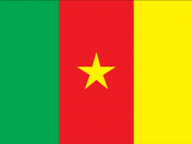 Vlag Kameroen