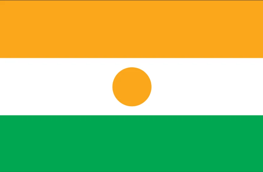 Vlag Niger
