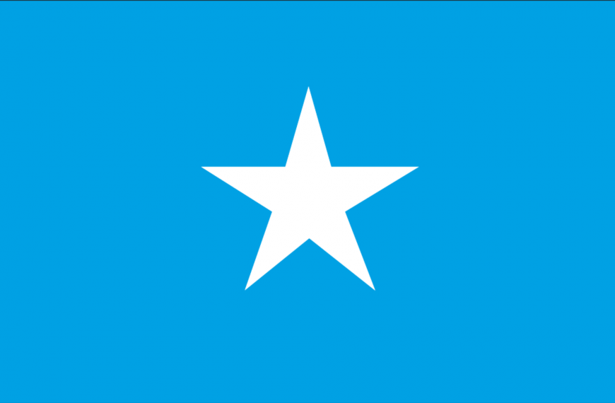 Vlag Somalië