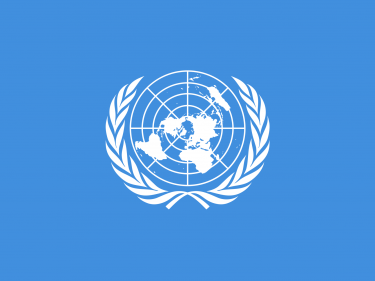 Vlag Verenigde Naties VN