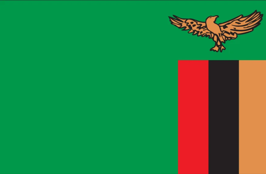 Vlag Zambia