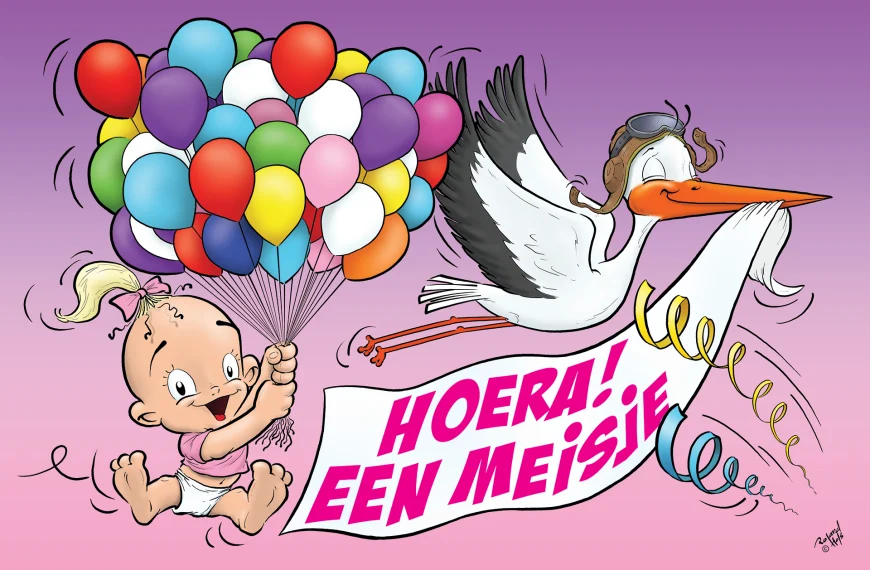 Luxe geboortevlag meisje kopen | 3 maten