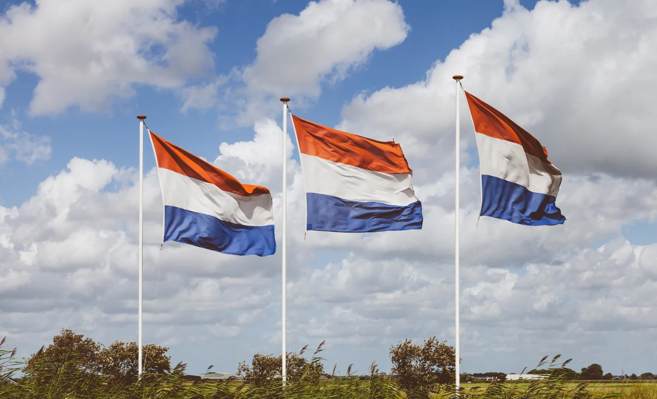 Nederlandse vlaggen in landschap