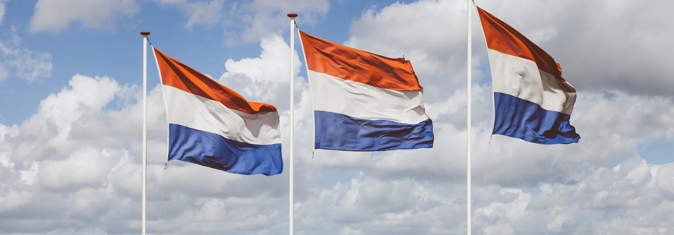 Nederlandse vlaggen in landschap