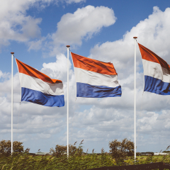 Nederlandse vlaggen in landschap