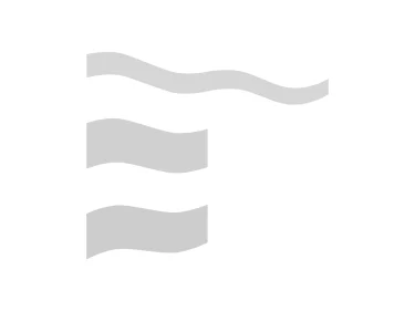 Vlag Friesland, Friesevlag