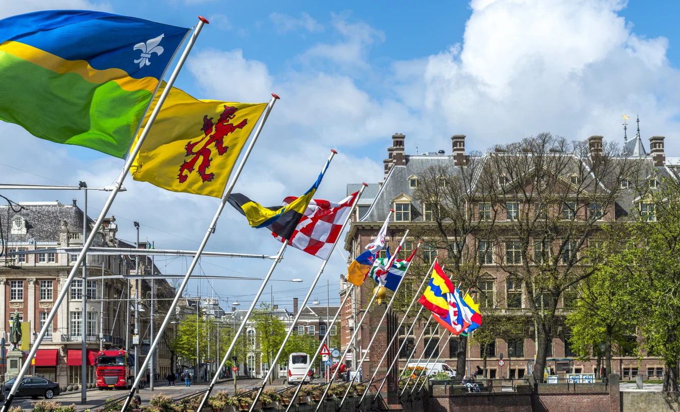 Vlaggen van de Nederlandse provincies
