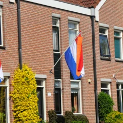 Oranje wimpels