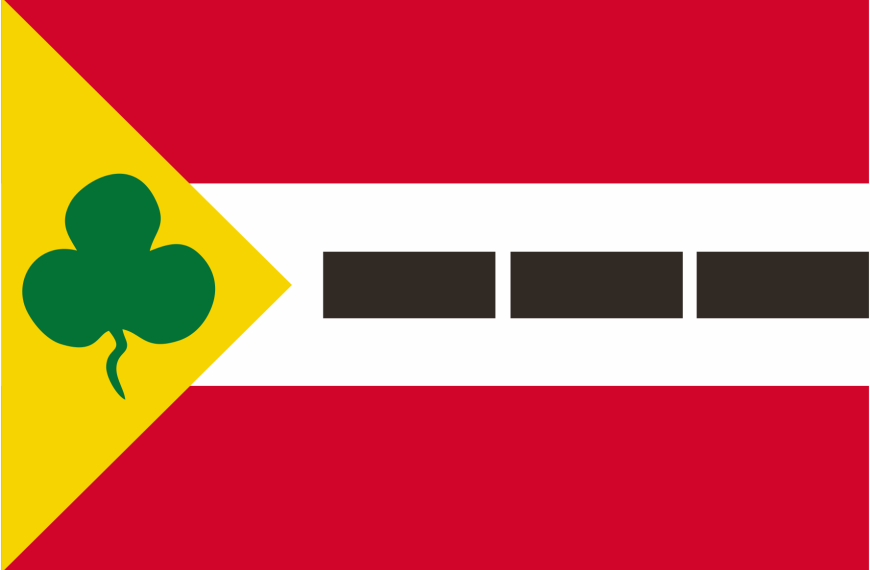 Dorpsvlag Appelscha Appelschaster vlag