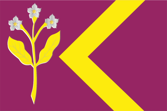 vlag Zorgvlied voor vlaggenmast