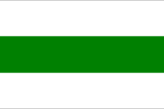 vlaggenmast vlag stad grongngen