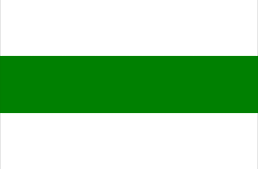 Vlag Stad Groningen & Gemeente Groningen