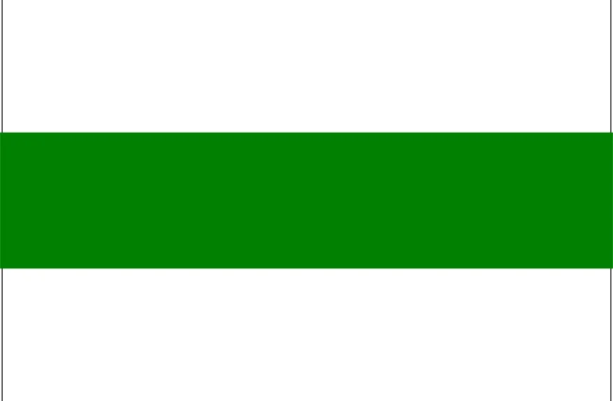 Vlag Groningen Stad & Gemeente Groningen