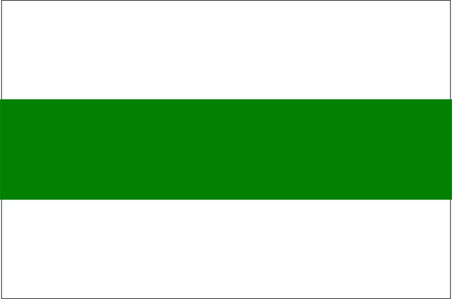 Vlag Groningen Stad & Gemeente Groningen