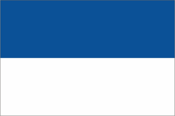 vlag Assen
