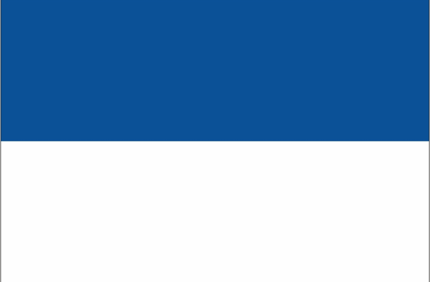 Vlag Assen