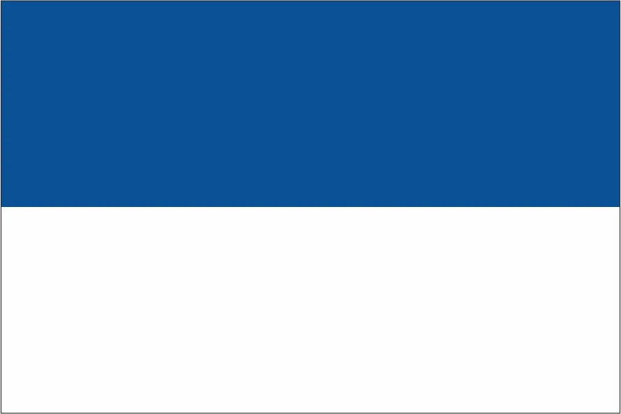 Vlag Assen