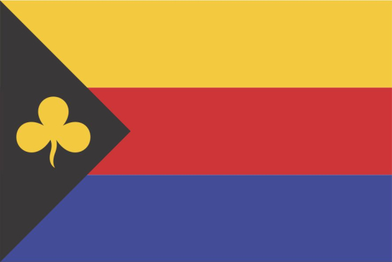 Vlag van Delfzijl van glanspolyester, geschikt voor gevelstok, vlaggenmast, havengebied, bedrijven en regio Eemsdelta.