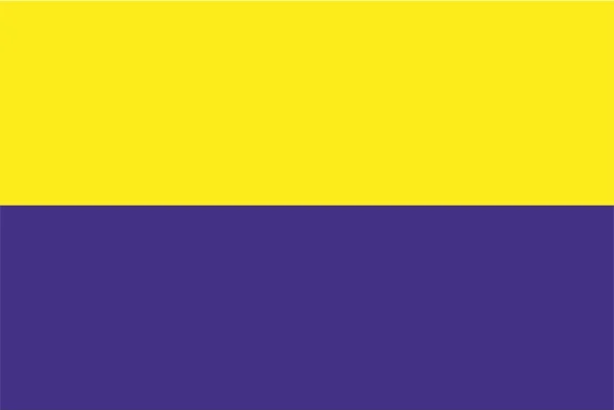 Vlag van Zandvoort gemaakt van 115 gr/m² polyester vlaggendoek