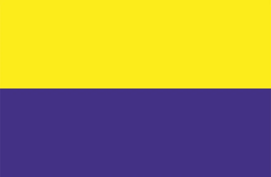 Vlag Zandvoort